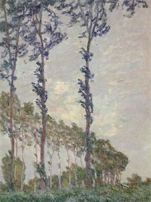 Claude Monet WInd Effect,Sequence of Poplars oil painting image